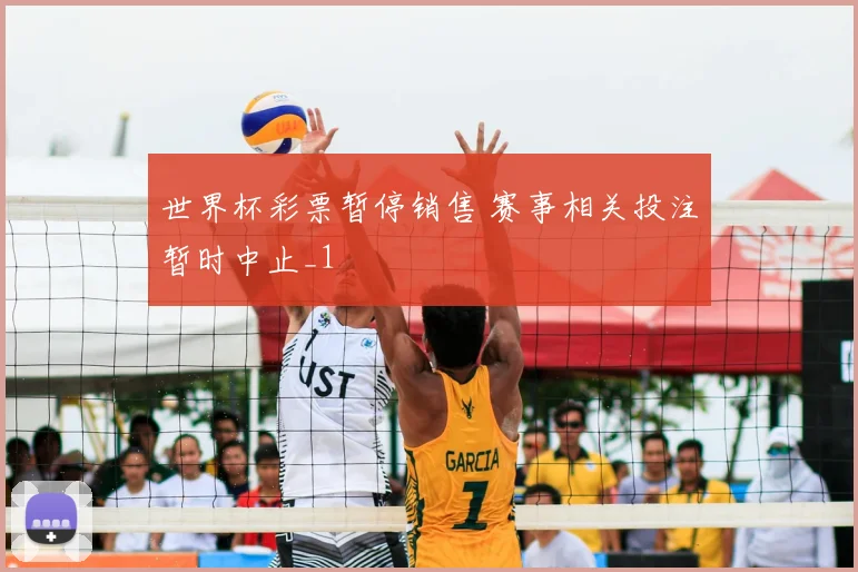 世界杯彩票暂停销售 赛事相关投注暂时中止_1