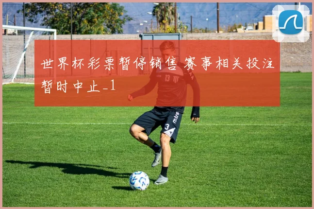 世界杯彩票暂停销售 赛事相关投注暂时中止_1