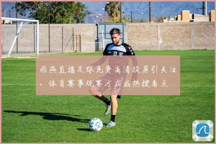 雨燕直播足球免费高清投屏引关注，体育赛事观赛方式成热搜看点