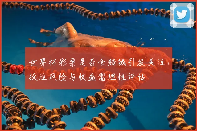 世界杯彩票是否会赔钱引发关注，投注风险与收益需理性评估