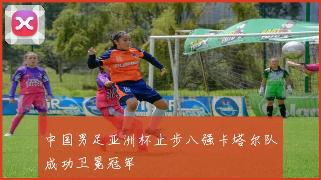 中国男足亚洲杯止步八强卡塔尔队成功卫冕冠军