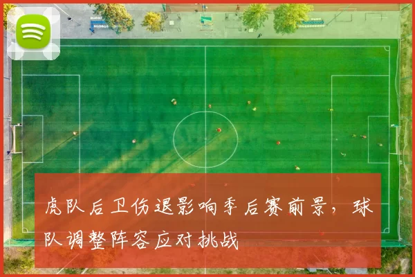 虎队后卫伤退影响季后赛前景，球队调整阵容应对挑战