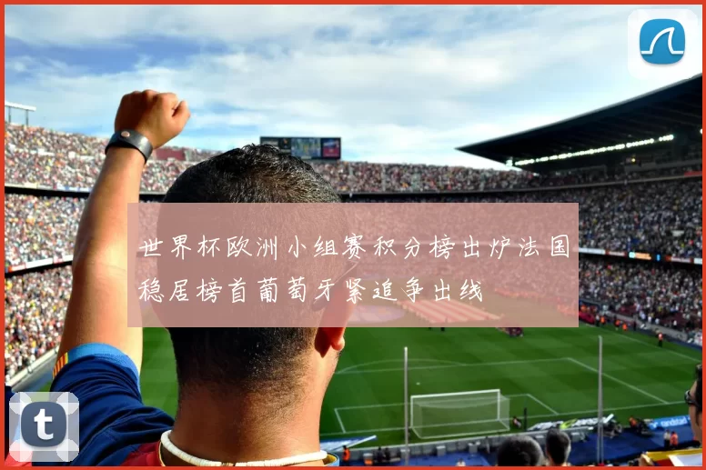 世界杯欧洲小组赛积分榜出炉法国稳居榜首葡萄牙紧追争出线
