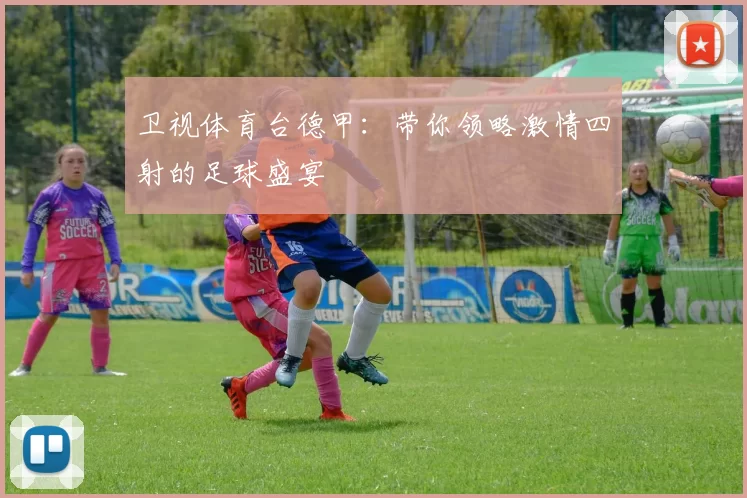 卫视体育台德甲：带你领略激情四射的足球盛宴