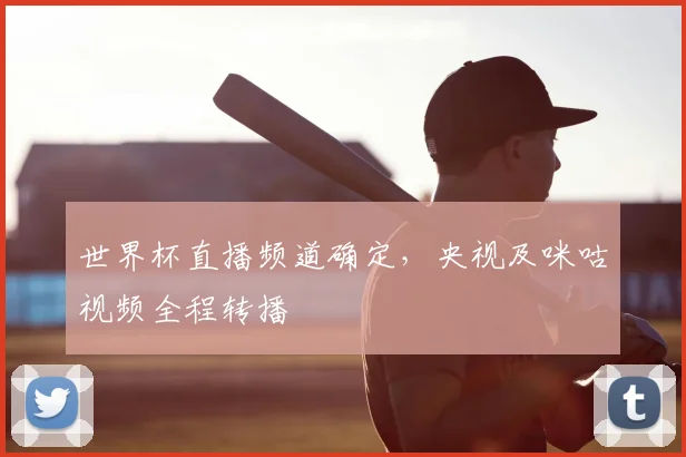 世界杯直播频道确定,央视及咪咕视频全程转播