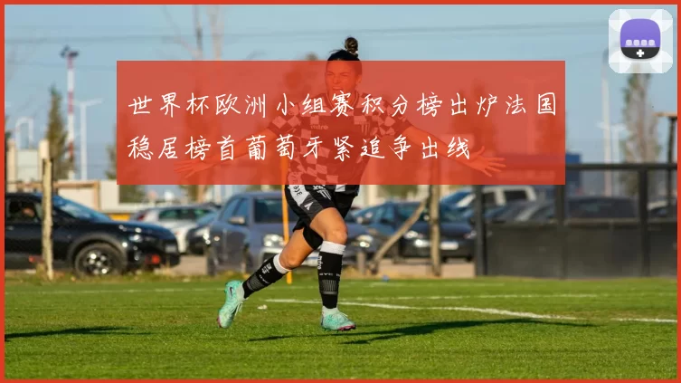 世界杯欧洲小组赛积分榜出炉法国稳居榜首葡萄牙紧追争出线