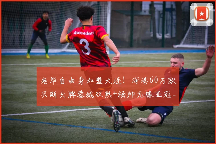 老毕自由身加盟大连！海港60万欧买断头牌蓉城双煞+杨帅无缘亚冠_加布里埃尔_赛季_1
