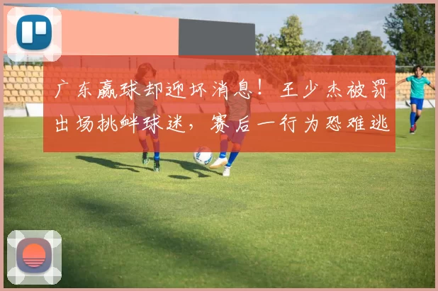 广东赢球却迎坏消息！王少杰被罚出场挑衅球迷，赛后一行为恐难逃处罚_动作_迪亚洛_山西