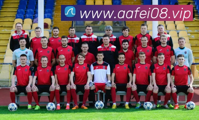 kaiyun「中国大陆」云开·门户网站 - 官方网站|登录入口发展历程