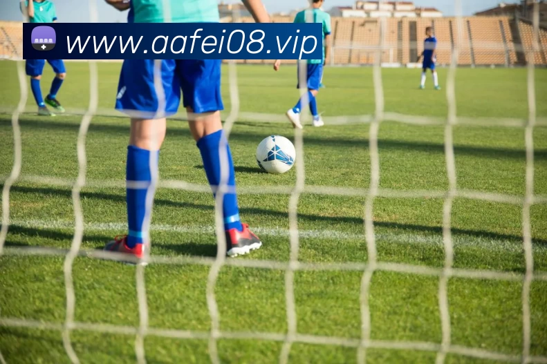 kaiyun「中国大陆」云开·门户网站 - 官方网站|登录入口平台生态图