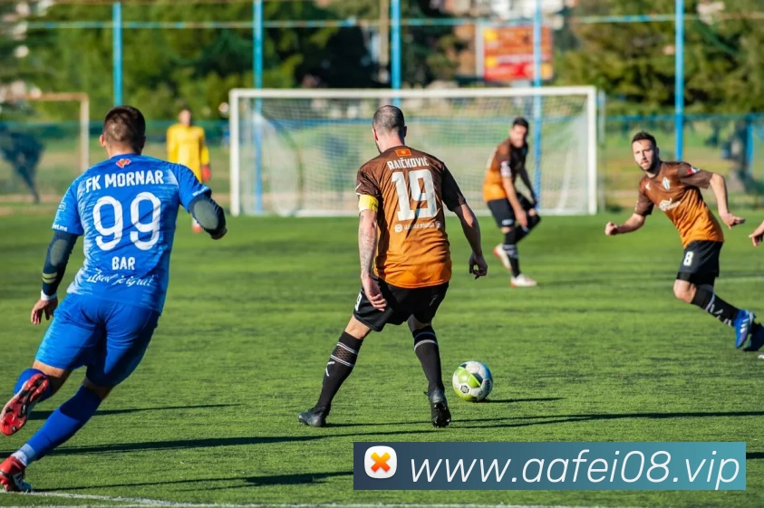 kaiyun「中国大陆」云开·门户网站 - 官方网站|登录入口平台生态图